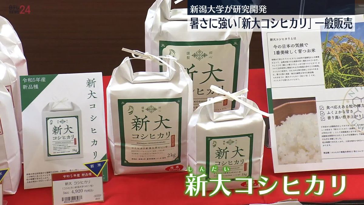 暑さに強い「新大コシヒカリ」一般販売始まる　新潟市