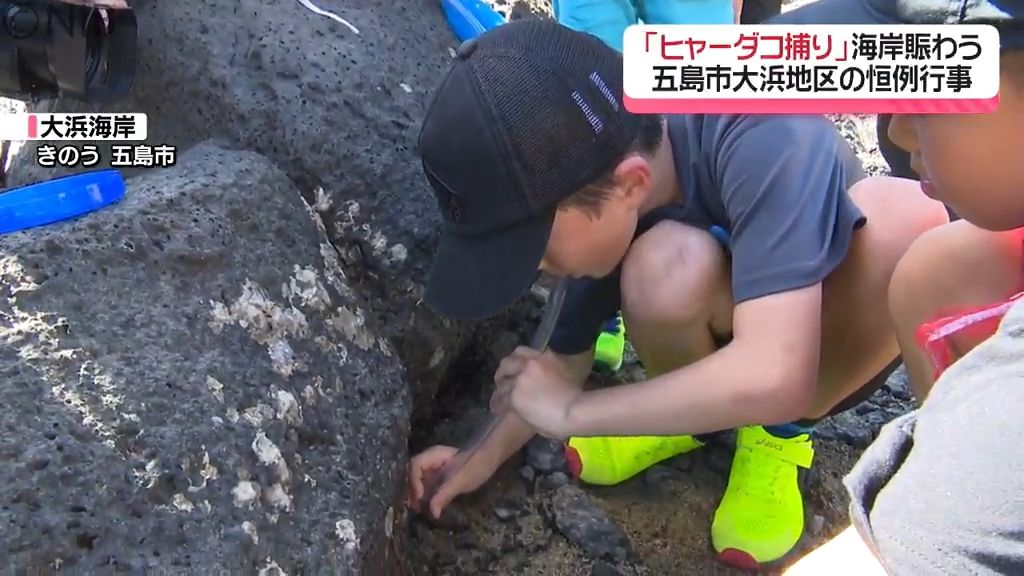 岩場に塩を吹きかけると出てくる生き物は？　子どもに人気！五島の磯遊び「ヒャーダコ捕り」《長崎》