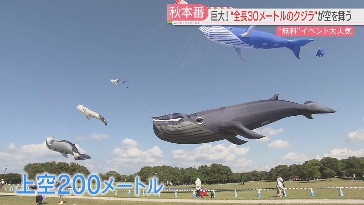 秋の行楽シーズン本番！　航空祭や"新幹線ふれあい"など無料イベントで各地にぎわう　福岡