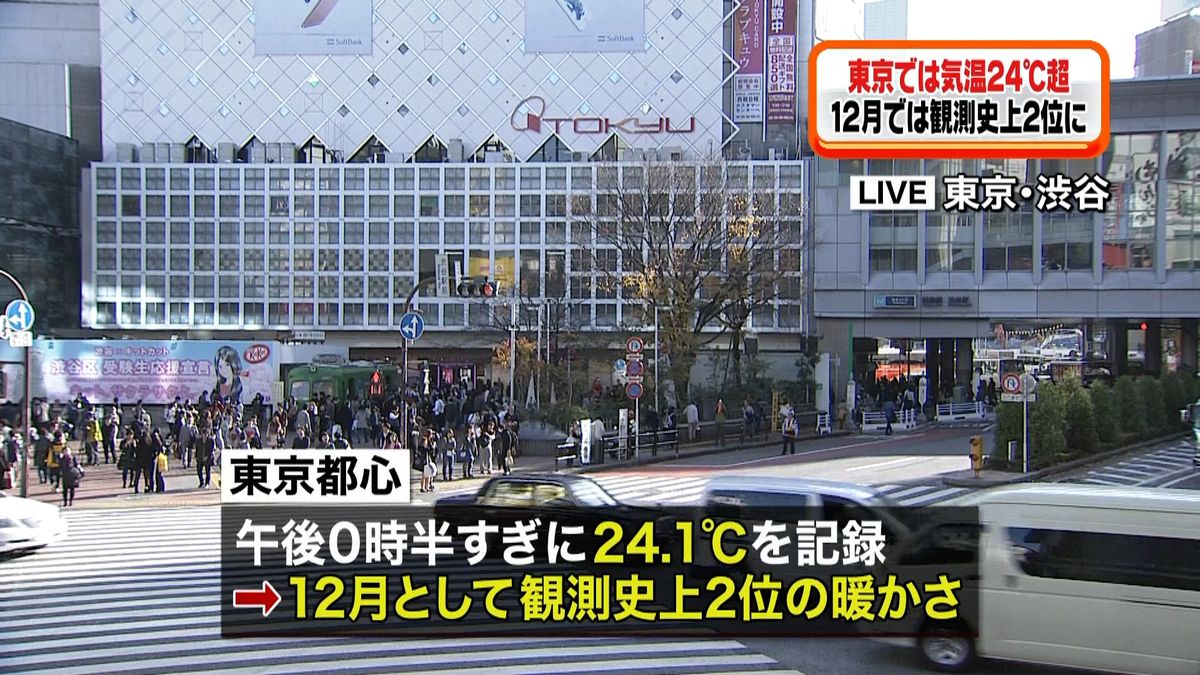 師走の嵐の一方で、東京都心は２４℃観測