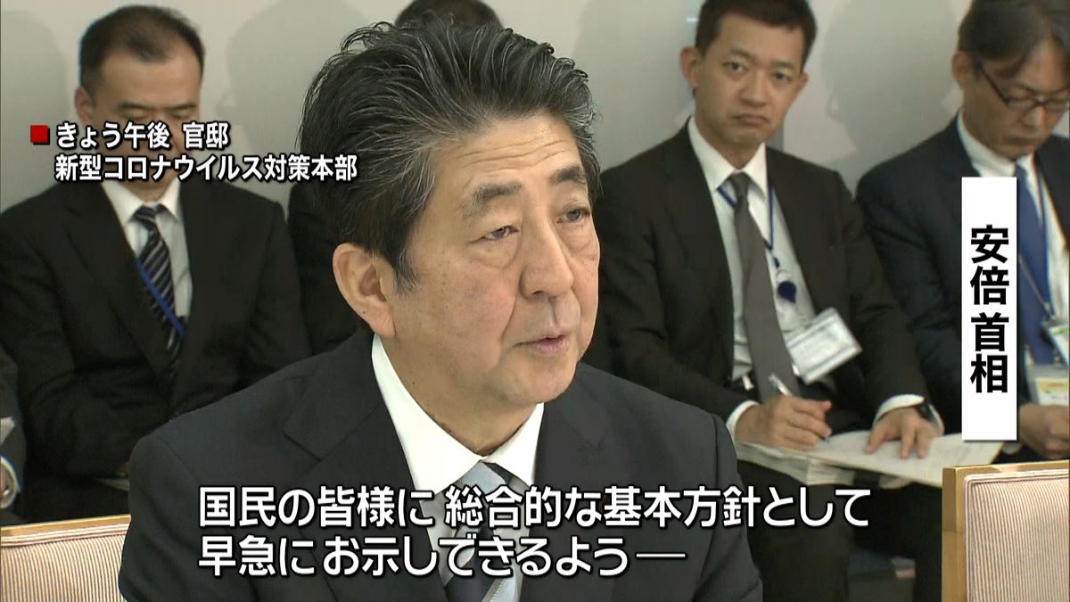 安倍首相「基本方針を早急に示すよう」指示