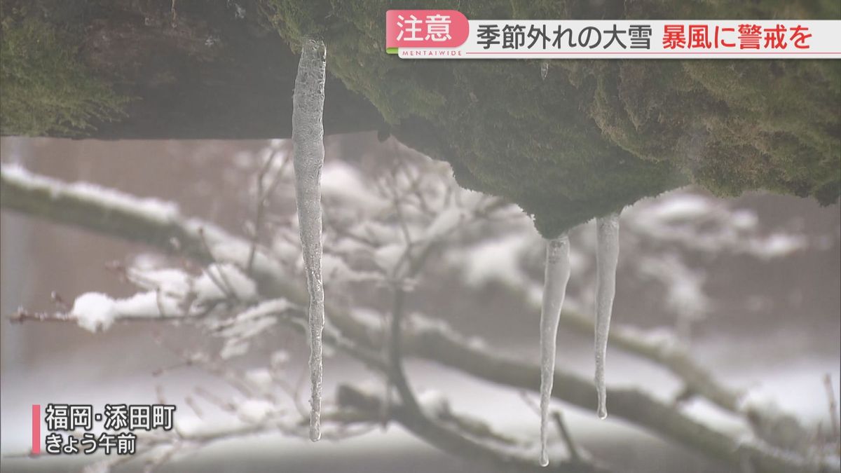 季節外れの雪景色とつらら　19日昼前にかけて福岡で大雪の恐れ　山地10センチ　平地2センチの予想