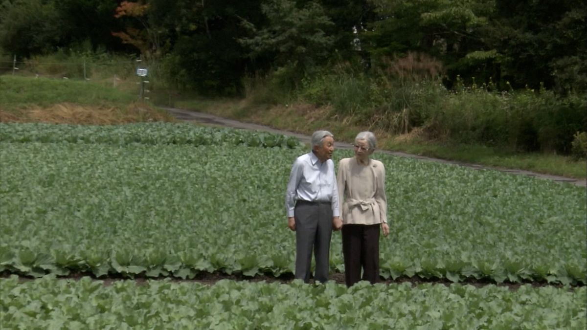 去年8月 軽井沢町・大日向開拓地