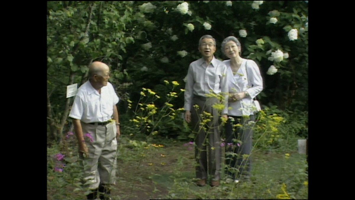 2003（平成15）年　軽井沢町植物園