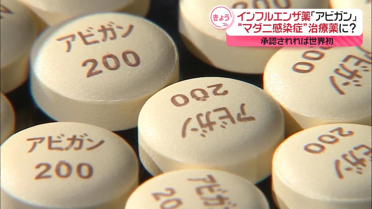 インフルエンザ薬｢アビガン｣ “マダニ感染症”治療薬に？　承認されれば世界初