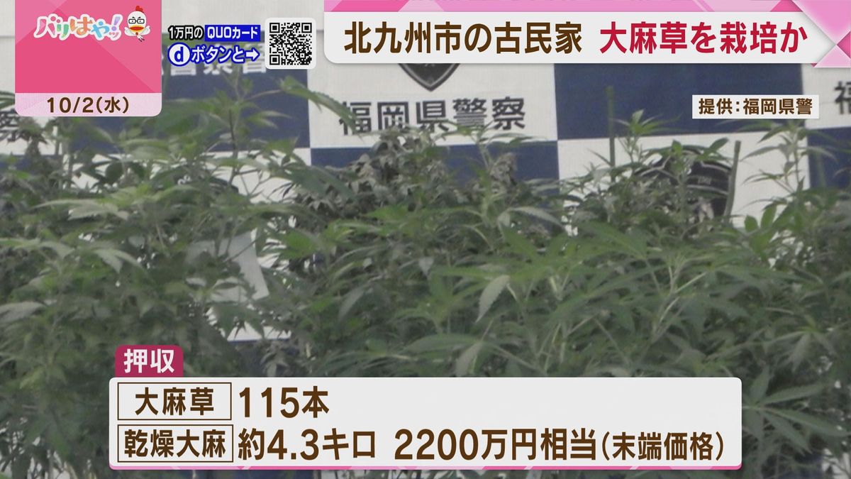 北九州市若松区の古民家　大麻草栽培の疑い　乾燥大麻など押収　10人摘発