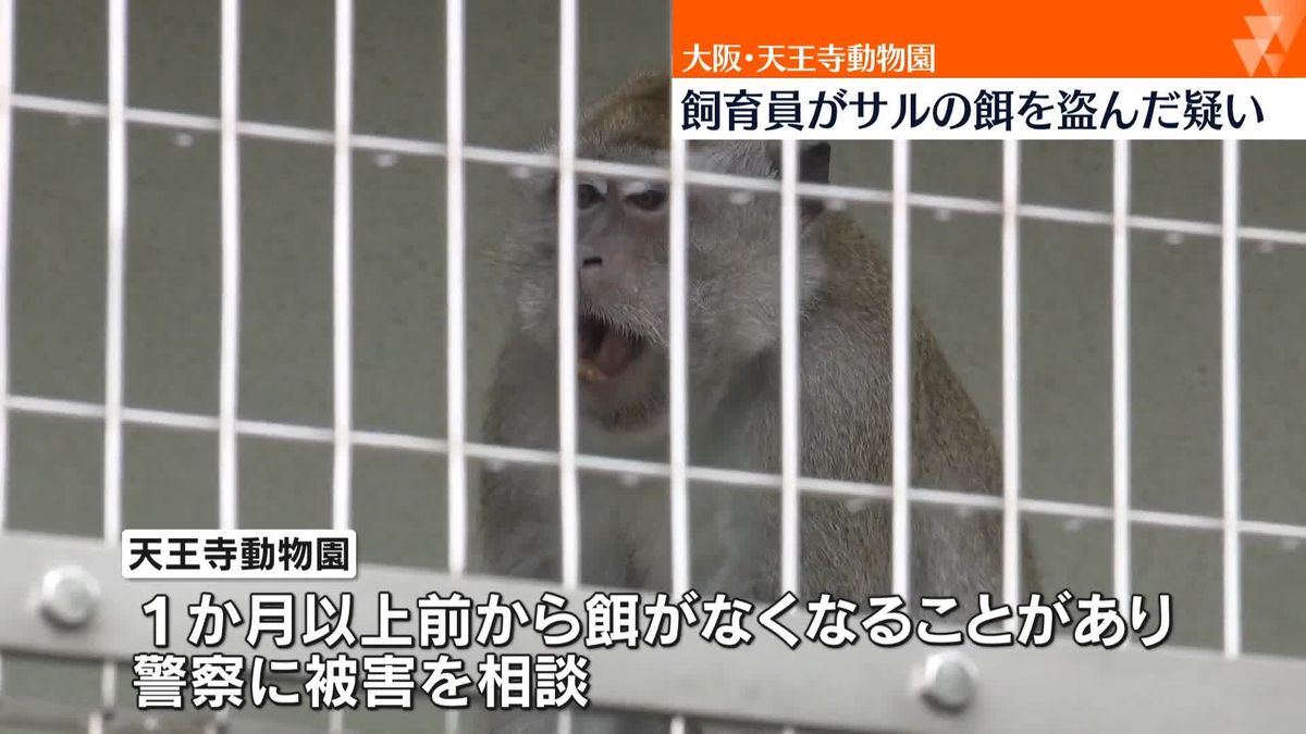 大阪･天王寺動物園 　飼育員がサルの餌を盗んだか