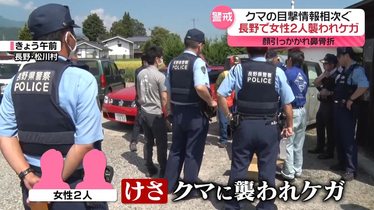 各地でクマの目撃情報や被害相次ぐ…長野では女性2人が襲われケガ