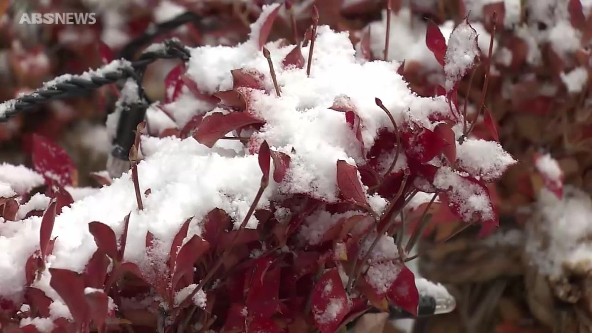 秋田市で平年より9日遅く初雪を観測　