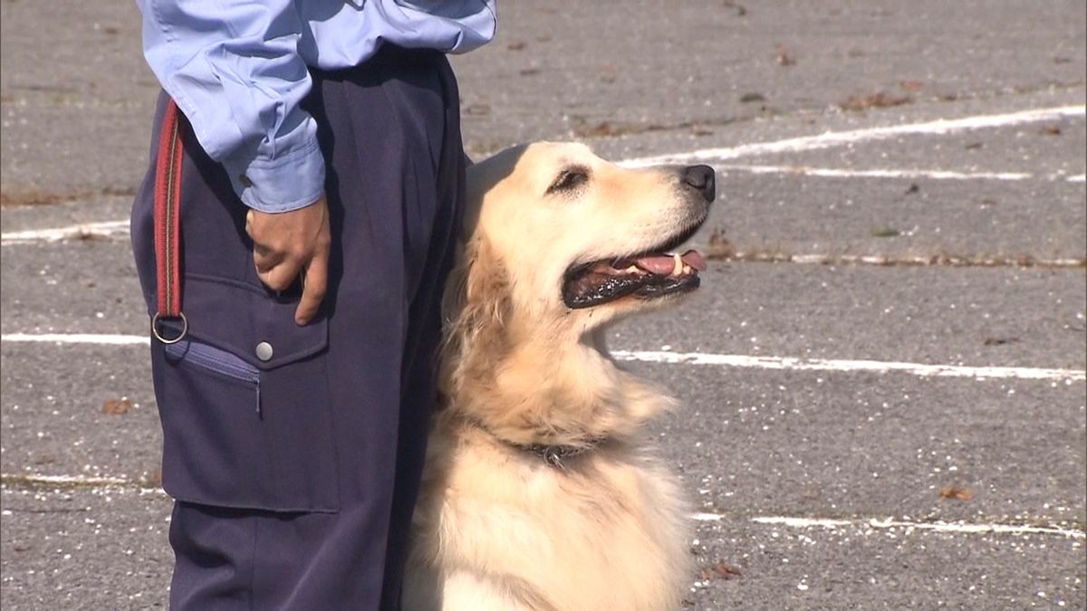 民間訓練の犬から警察犬へ　千葉市で審査会