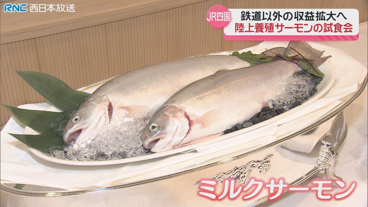 JR四国の新事業　陸上養殖サーモン出荷にあわせ試食会