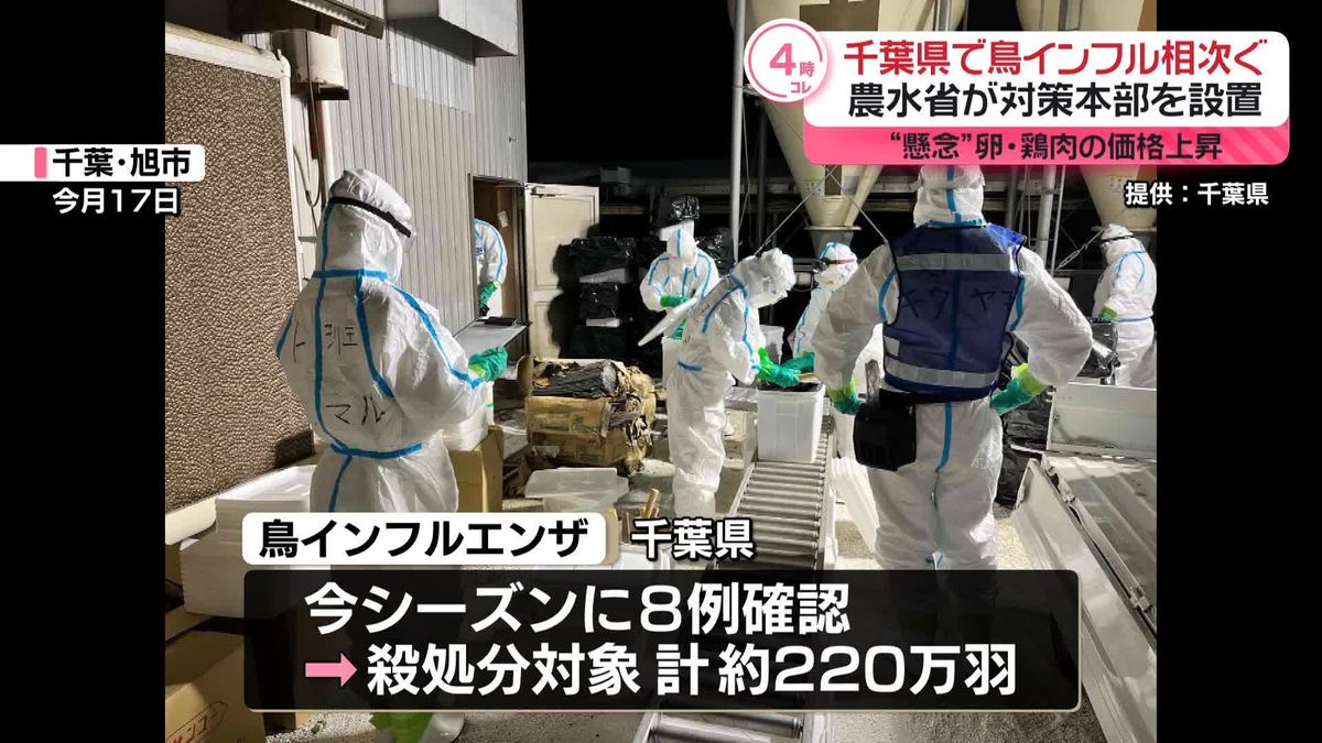 千葉県で鳥インフル相次ぐ　農水省が現地対策本部を設置　卵・鶏肉の価格上昇への懸念も