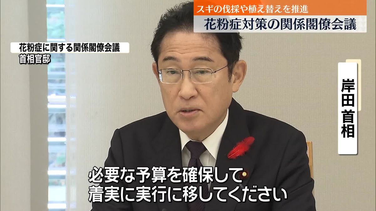 政府、花粉症対策とりまとめ　スギ伐採などの重点的な実施区域を今年度中に設定へ