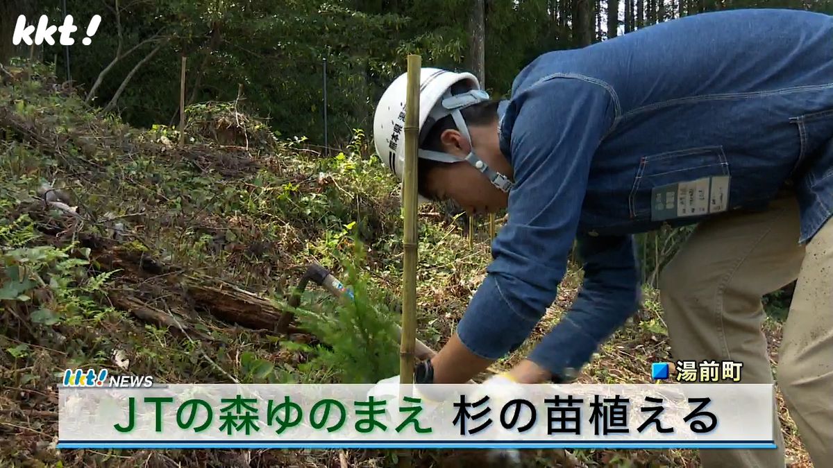 「JTの森ゆのまえ」で杉の苗植える 約81haで15年間続く森林保全活動