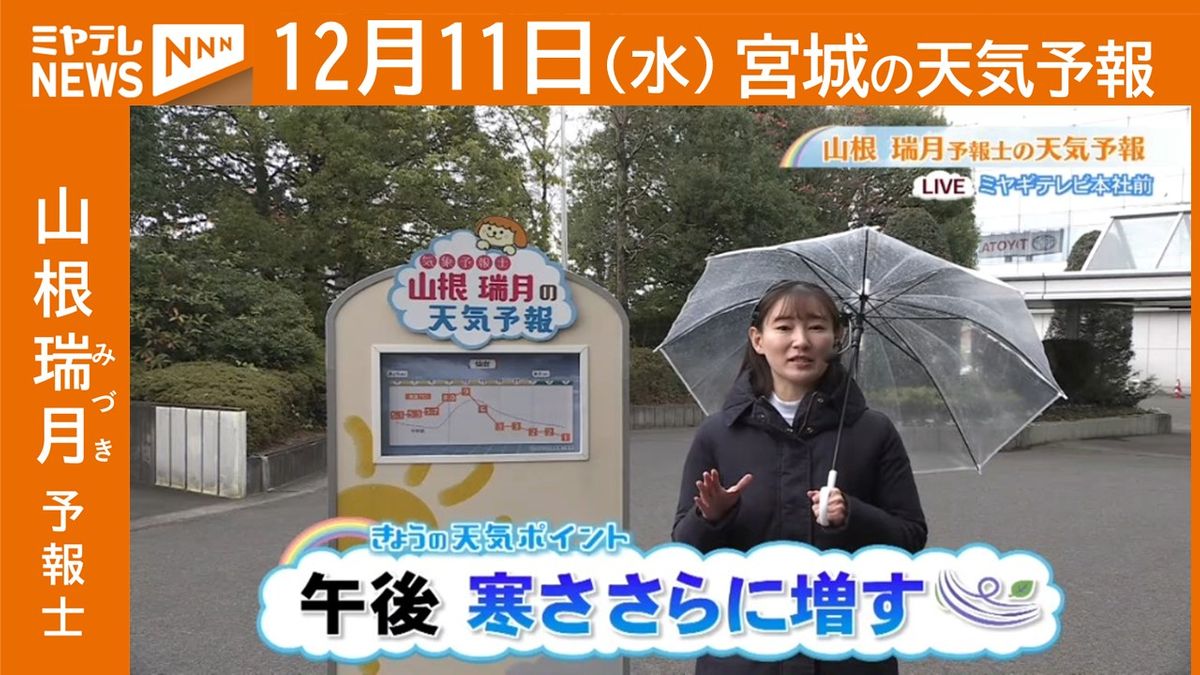 【宮城】11日(水)の天気　山根瑞月予報士の天気予報