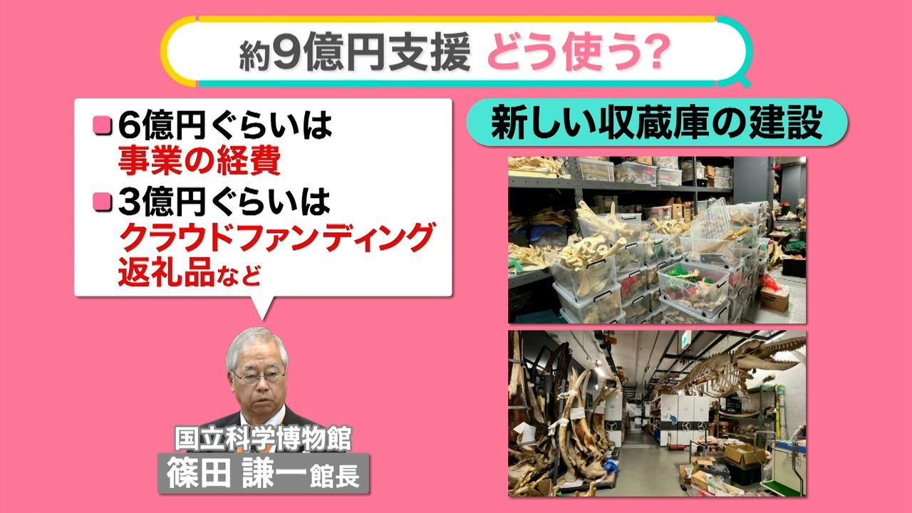 国立科学博物館に“約9億円”集まる なぜ資金難に…窮地に立たされた“大きな2つのダメージ”  【#みんなのギモン】（2023年11月6日掲載）｜日テレNEWS NNN