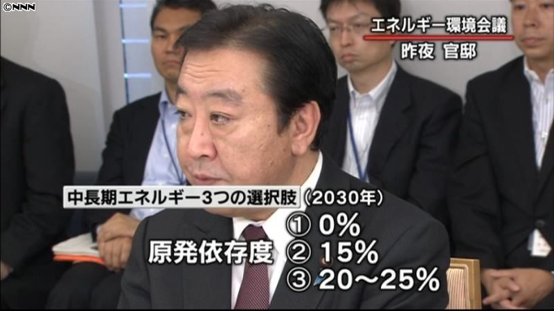 政府、将来の原発依存度で３つの選択肢示す