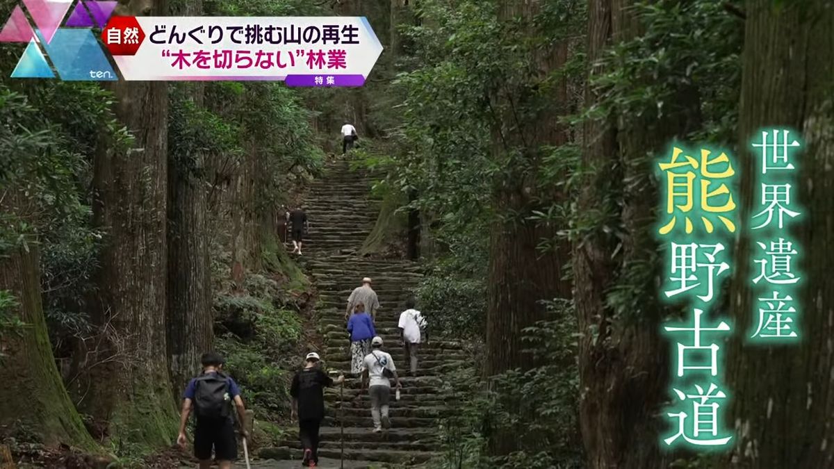 和歌山・田辺市から日本の森を再生へ