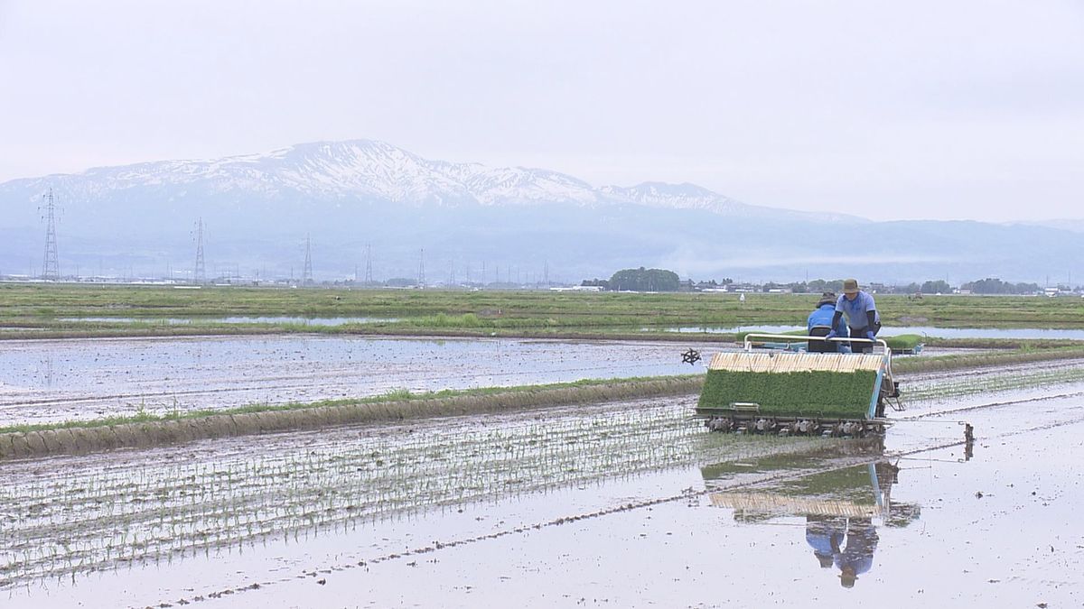 4月の平均気温が過去20年間で最高に　コメどころ庄内の田植えシーズン大幅に早まる