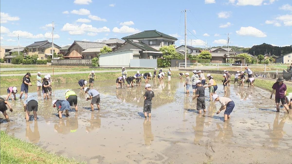 小学生が田植え体験　愛知・岡崎市