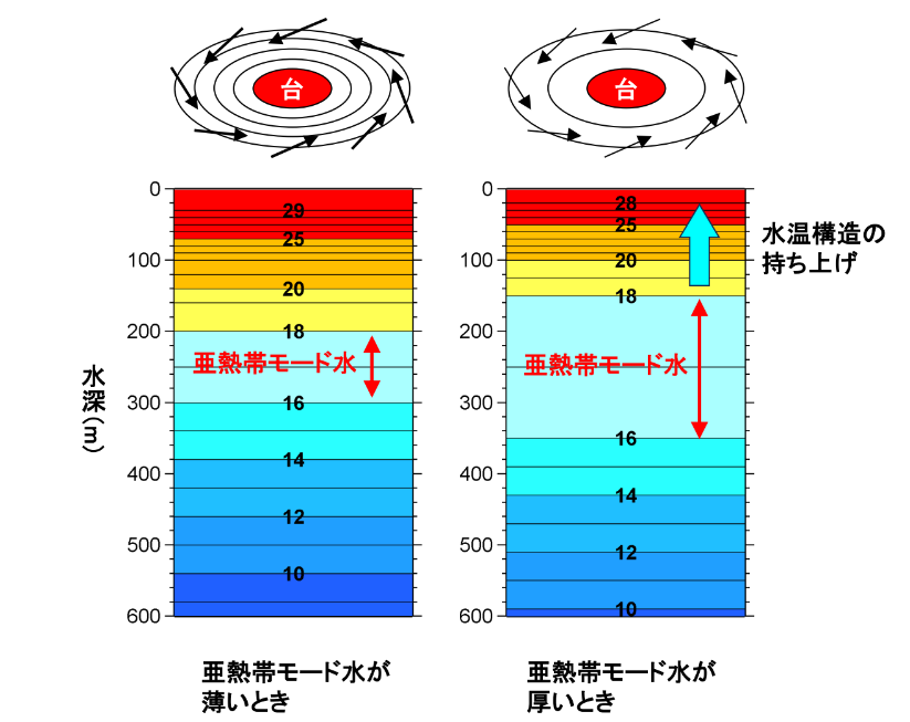 “巨大な海水の塊”で水温変化　台風の発達に影響も　東京大学などの研究グループが明らかに