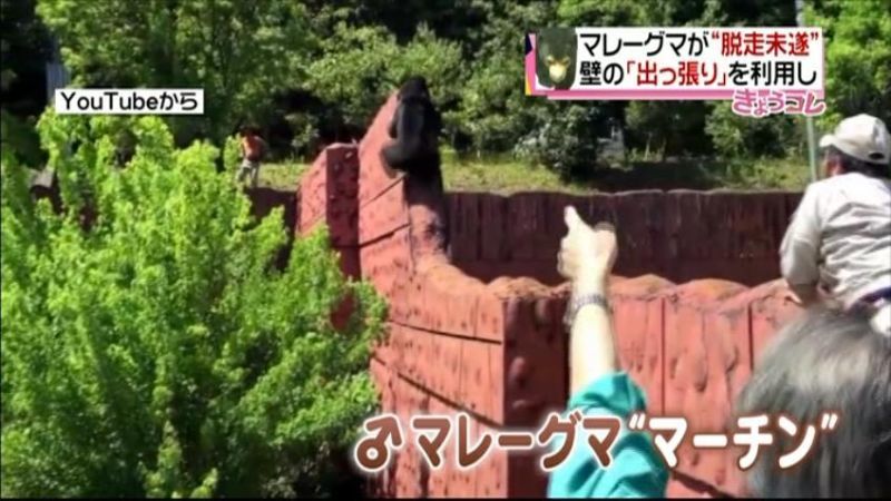 クマ“脱走未遂”動物園が対策へ　名古屋市