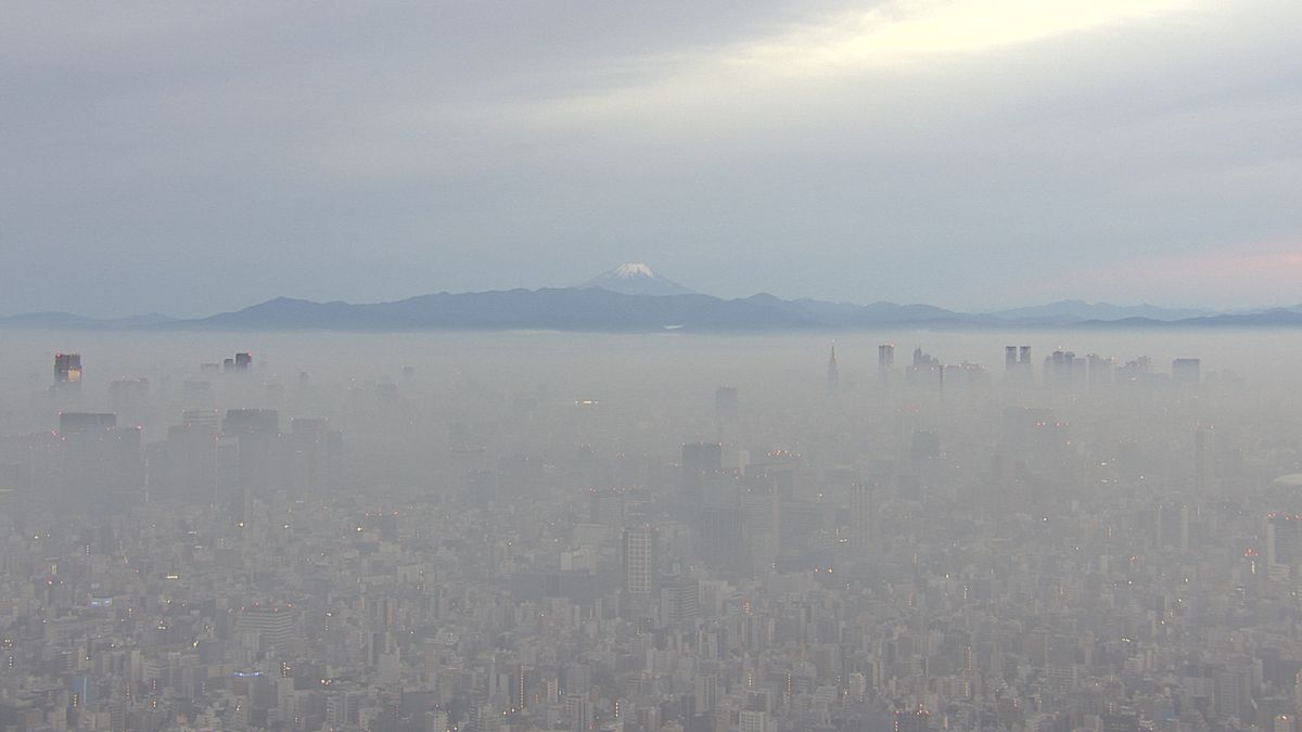 幻想的…東京のビル街を覆う“ベール”