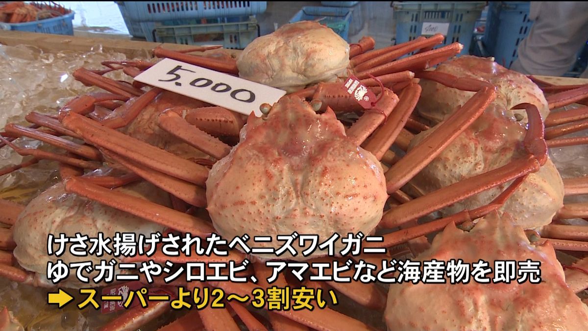 カニやエビなど海産物販売でにぎわう　富山