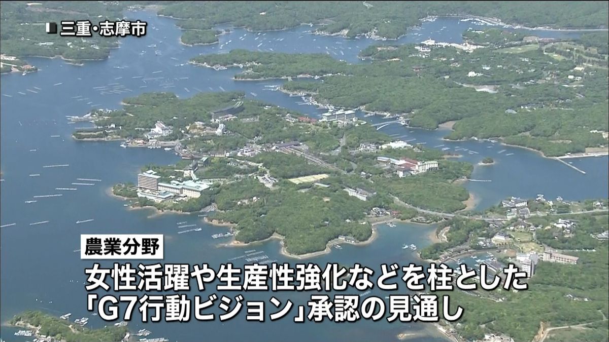 食料安全保障のサミット宣言案が明らかに