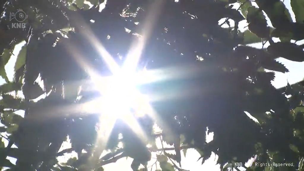 富山県内に初夏の日差し　紫外線対策を