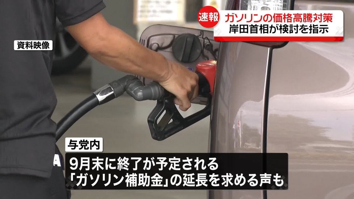 ガソリン価格高騰　岸田首相が対策を指示
