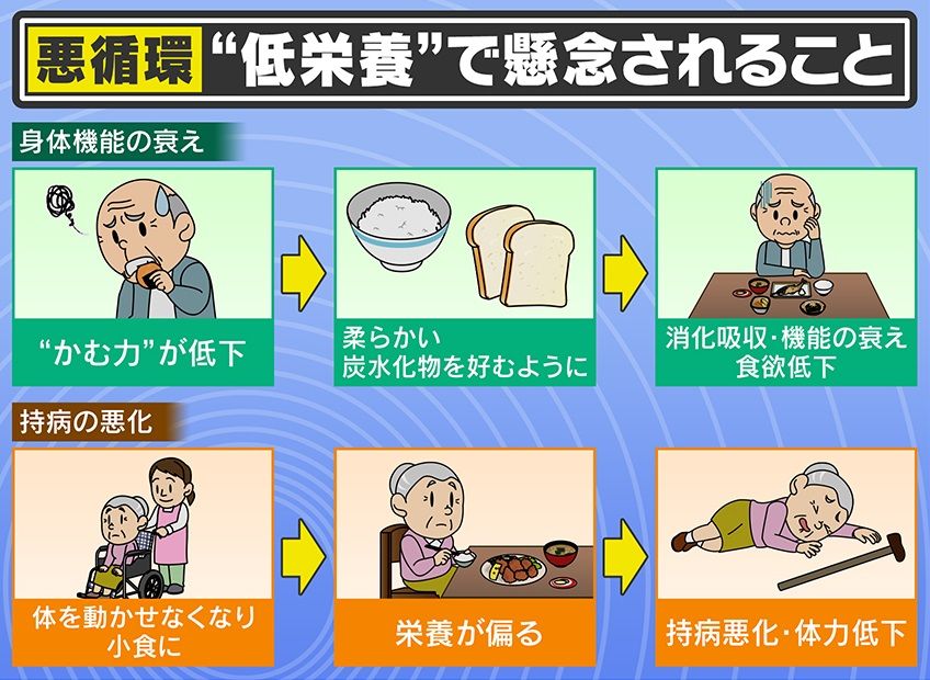 “噛む力・飲み込む筋肉・唾液”が大事！