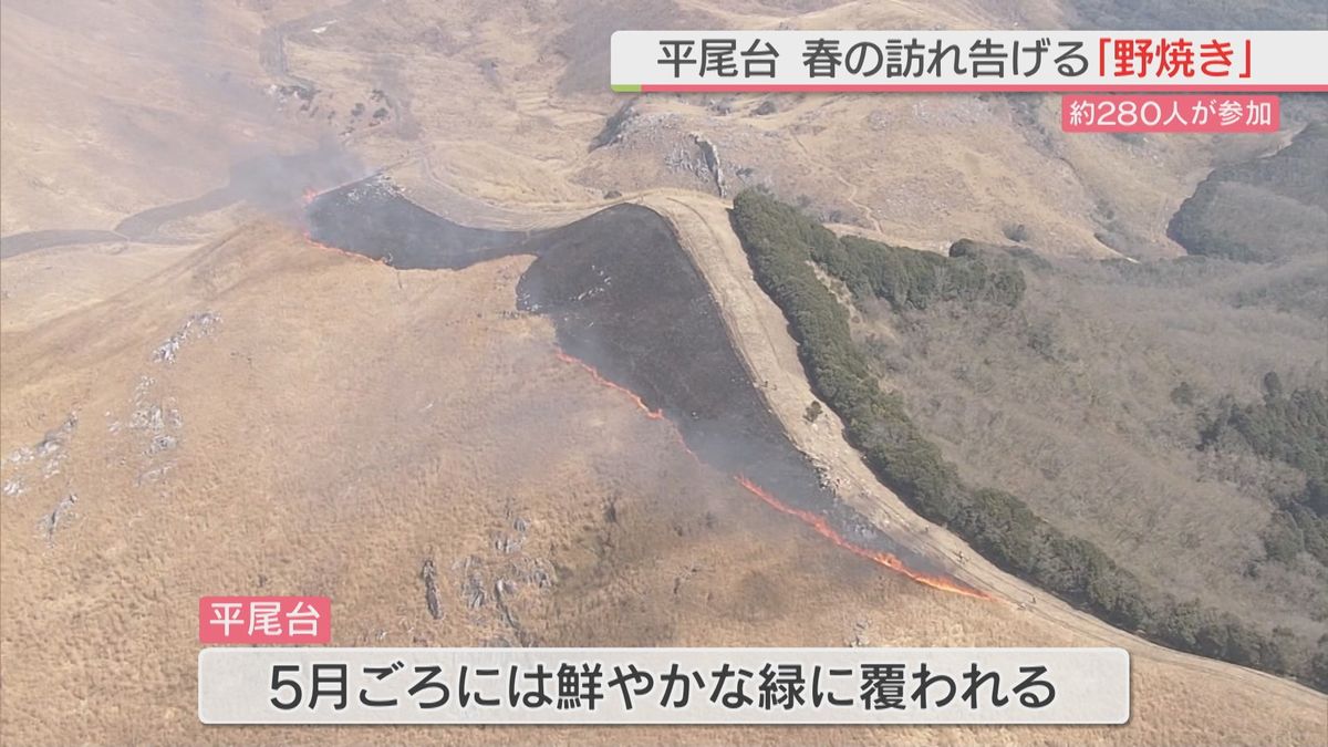 平尾台で春の訪れ告げる「野焼き」5月ごろには鮮やかな緑に【北九州市小倉南区】