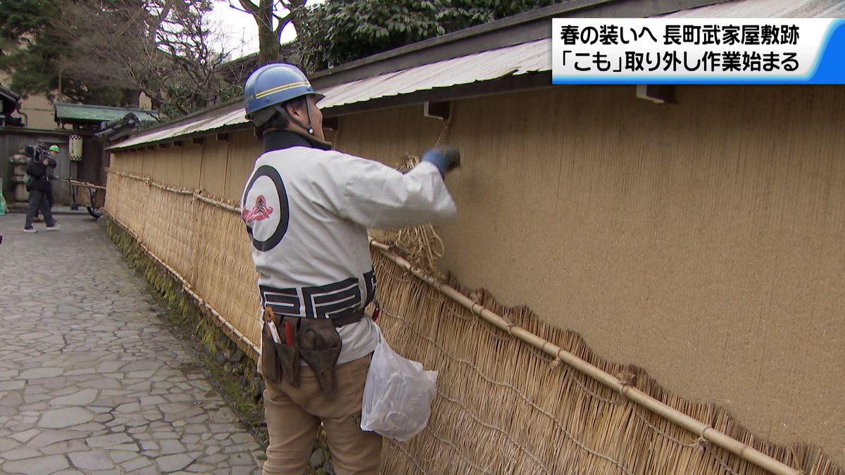 石川県内真冬並みの寒さ　金沢市の長町武家屋敷跡で「こも」取り外し作業