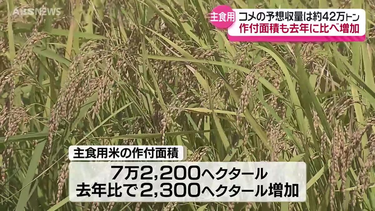 市場価格の上昇などが要因 主食用米の予想収量 去年を3万4000トンあまり上回る見通し 東北農政局