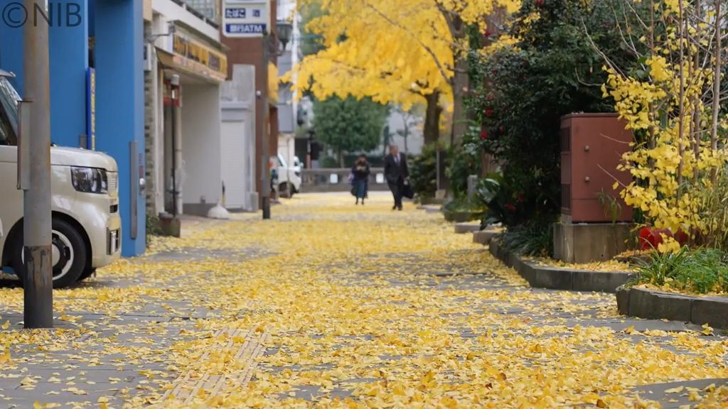 【天気】19日は明け方から大気の状態が不安定「雨や雪のところも」この時期らしい寒さの朝に《長崎》