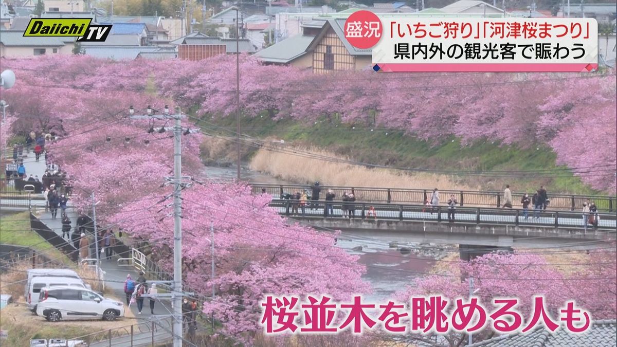 【早春３連休】県内各観光地にぎわう…夜明け前に駐車場が“満車”の場所も！一体なぜ？（静岡県）