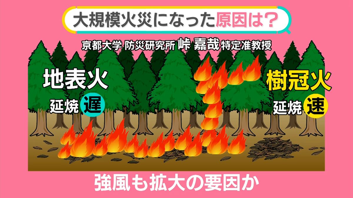 大船渡山林火災、発生から1週間　雨が消火の助けに…？　大規模火災になった原因は【#みんなのギモン】