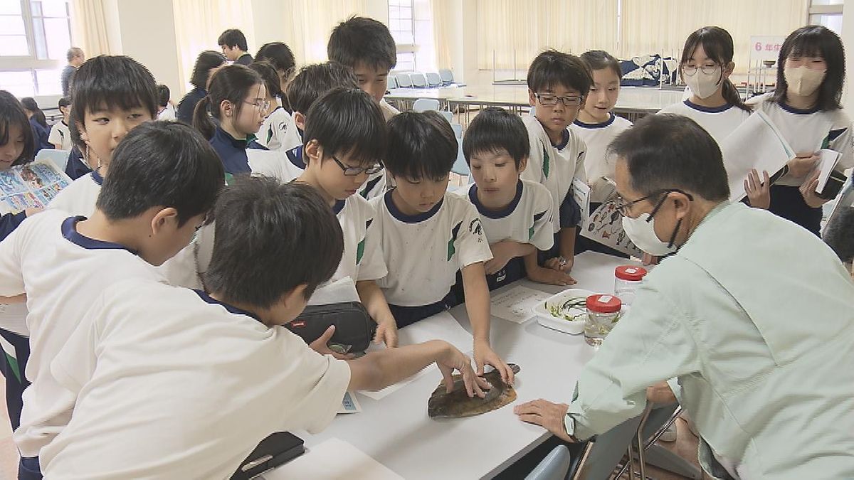 小学校で漁師などが特別授業「海づくり教室」　水産物の魅力や担い手不足の現状伝える　大分