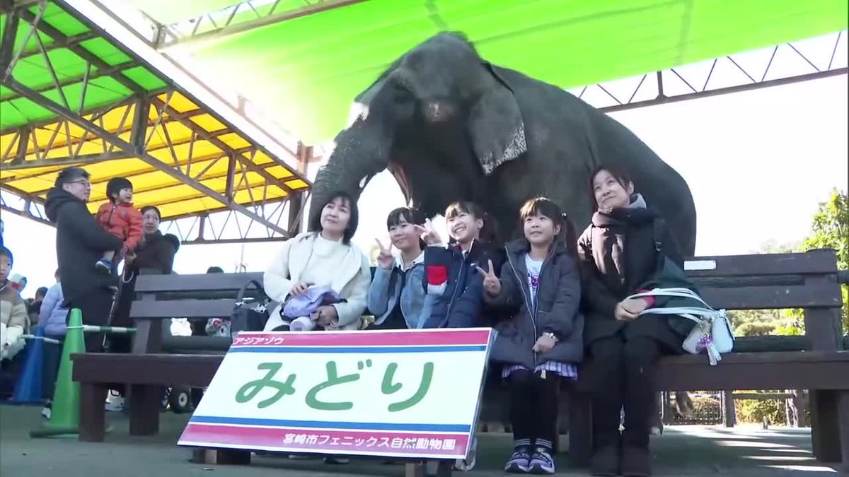 アジアゾウのみどりが慣れた様子で写真撮影　年末の動物園は家族連れでにぎわう