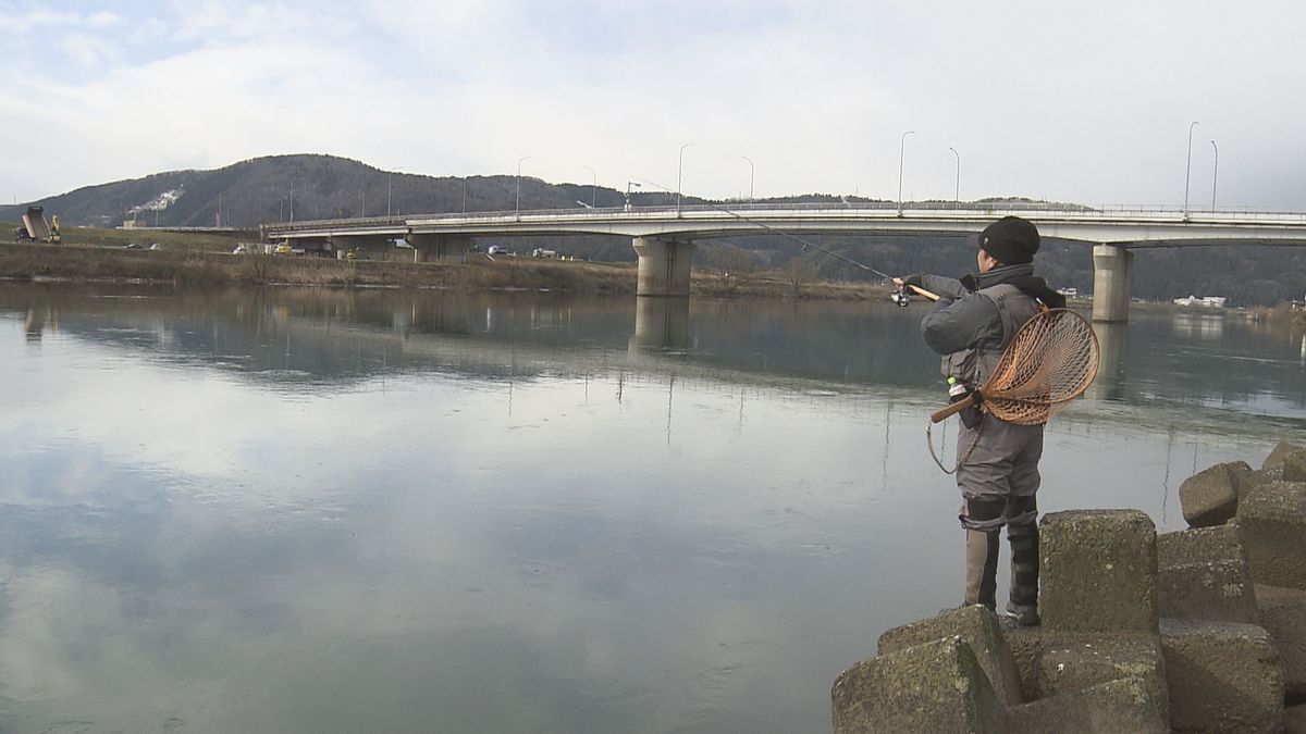 「幻の魚」九頭竜川のサクラマス釣り　今月1日から解禁　良コンディションで賑わいに期待