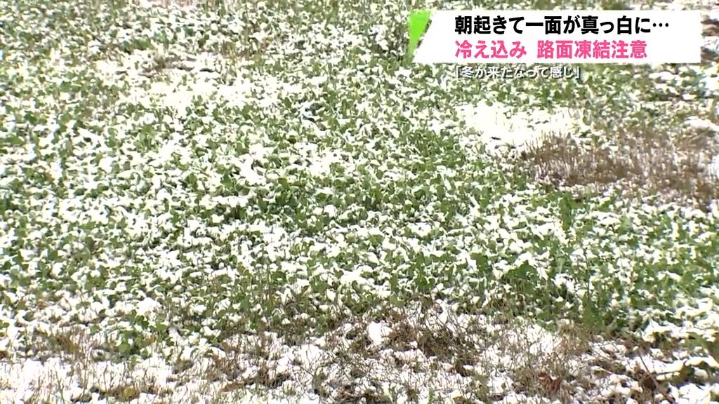 市街地も雪で真っ白…冷え込みで路面凍結に注意