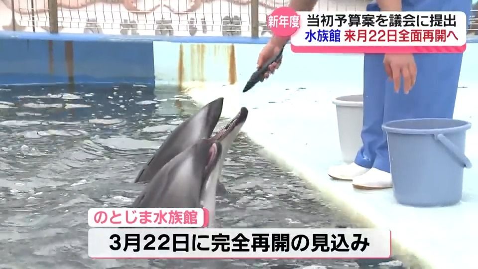 能登半島地震から1年　のとじま水族館「完全再開」　イルカ・アシカショー復活へ