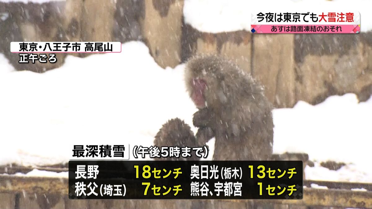 【天気】低気圧は日本の東へ　太平洋側中心に広範囲で晴れ