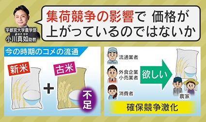 高止まりの理由は？