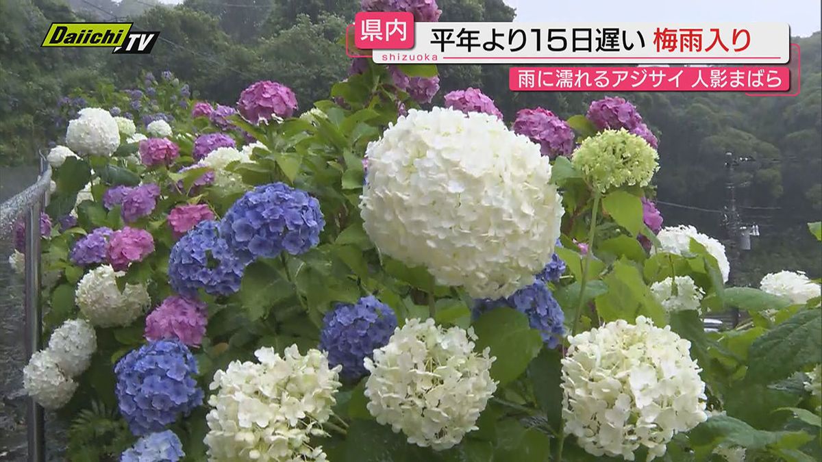 大雨災害の片付けの途中なのに･･･　静岡県含む東海地方が梅雨入り　平年より１５日遅く