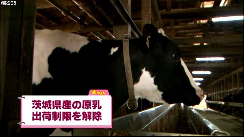 茨城県産の原乳、政府が出荷制限を解除