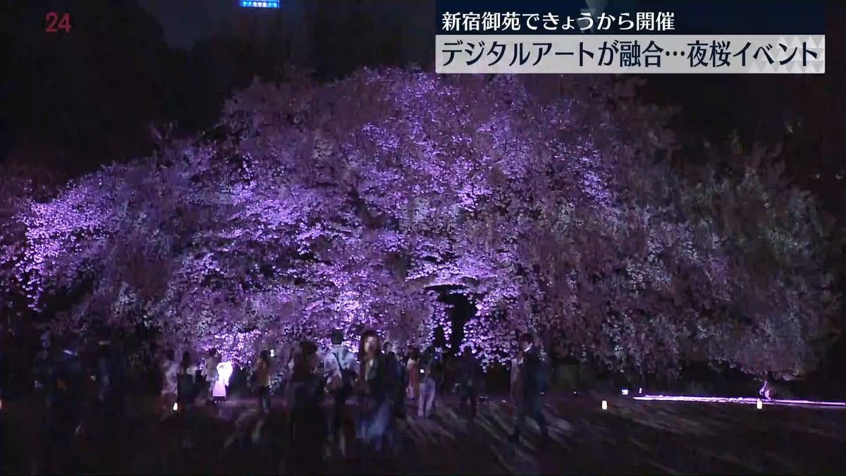 新宿御苑で夜桜イベント…デジタルアートが融合　クリーン電力活用で環境配慮も