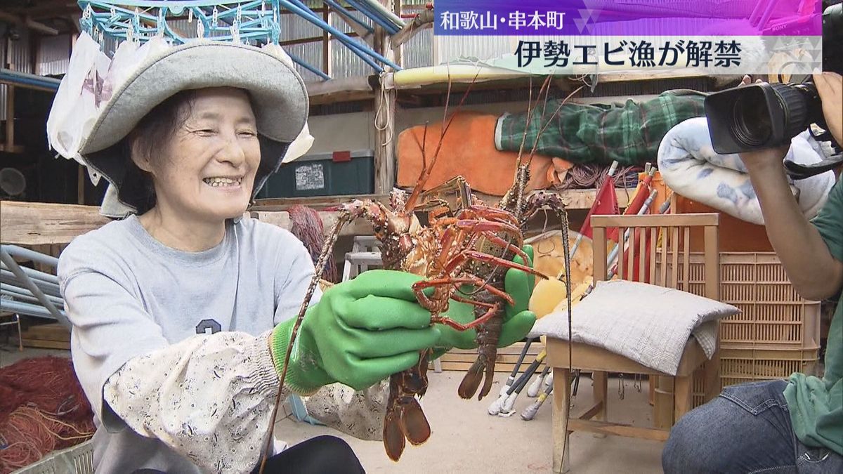 伊勢エビ漁が解禁　串本の漁港活気づく　近年は海水温の上昇などで漁獲量は減少傾向　和歌山・串本町