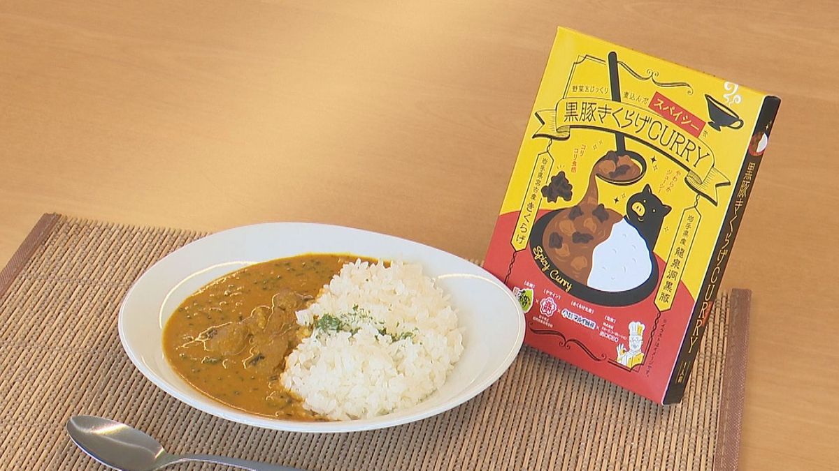 【復興への思いと三陸のうま味】「黒豚きくらげカレー」試食会　スパイシーな味わい　高校生がパッケージデザイン　岩手